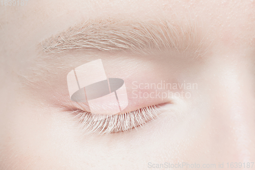 Image of Close up portrait of beautiful albino woman isolated on studio background. Beauty, fashion, skincare, cosmetics concept. Details.