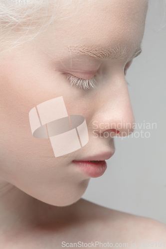 Image of Close up portrait of beautiful albino woman isolated on studio background. Beauty, fashion, skincare, cosmetics concept. Details.