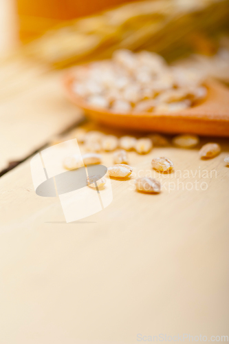 Image of organic barley grains