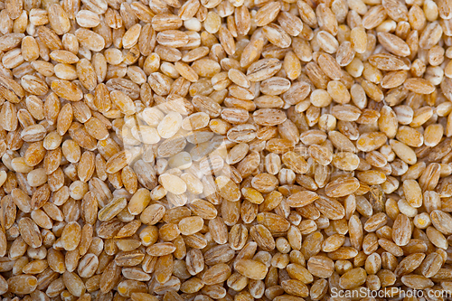 Image of organic barley grains