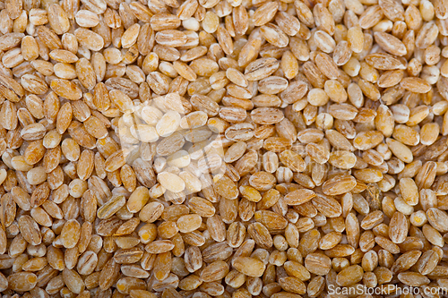 Image of organic wheat grains