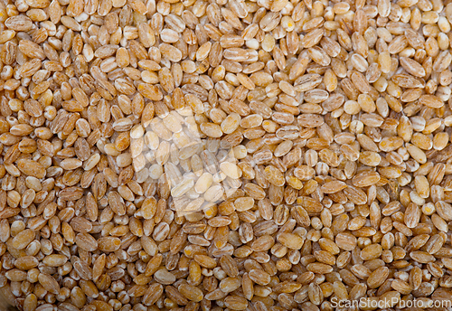 Image of organic wheat grains