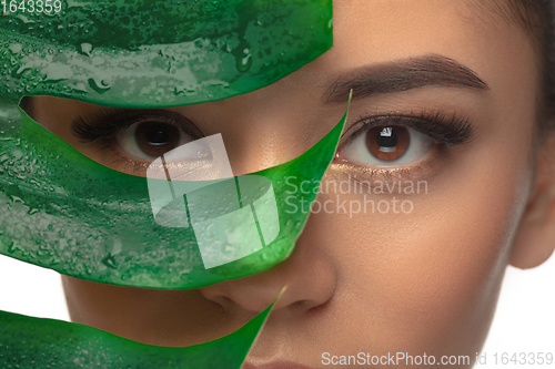 Image of Close up young woman\'s portrait with monstera leaf on white background. Cosmetics and makeup, natural and eco treatment, skin care.