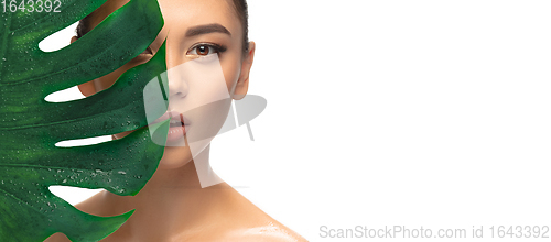 Image of Close up young woman\'s portrait with monstera leaf on white background. Cosmetics and makeup, natural and eco treatment, skin care.