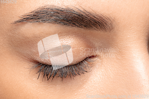 Image of Close up portrait of beautiful jewish woman isolated on studio background. Beauty, fashion, skincare, cosmetics concept. Details.