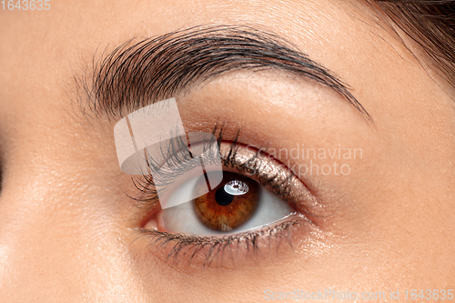 Image of Close up portrait of beautiful jewish woman isolated on studio background. Beauty, fashion, skincare, cosmetics concept. Details.