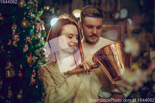 Image of Smiling family, couple looking for home decoration and holiday\'s gifts in household store