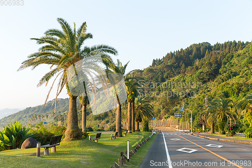 Image of Road with palm tree