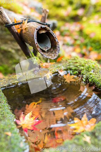 Image of Water bamboo fountain in autumn season