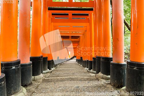Image of Fushimi Inari Taisha Shrine in Kyoto