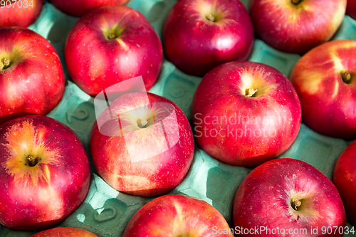 Image of Red apple in pack