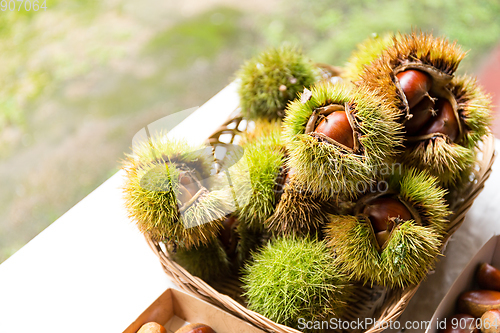 Image of Chestnut with skin