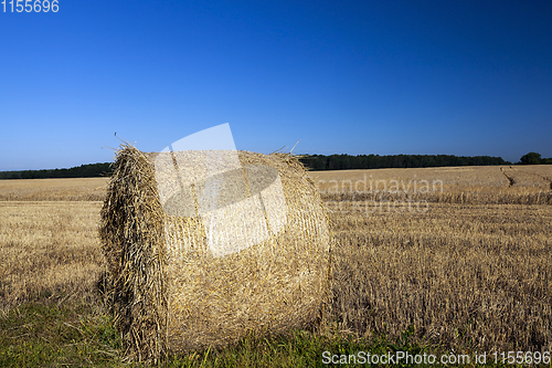 Image of yellow round straw