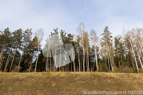 Image of autumn landscape