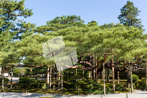 Image of Kenrokuen garden