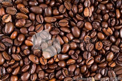 Image of Brown coffee bean
