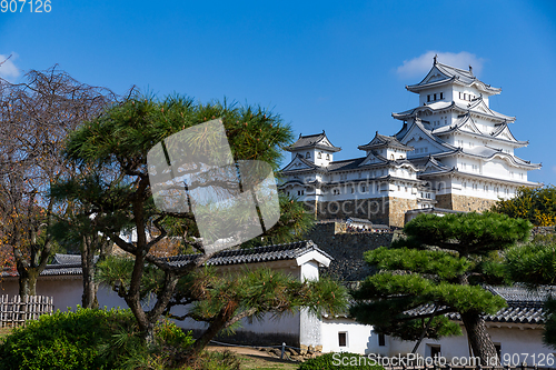 Image of Traditional Himeji castle