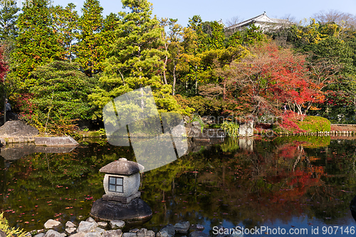 Image of Traditional Kokoen Garden with maple tree