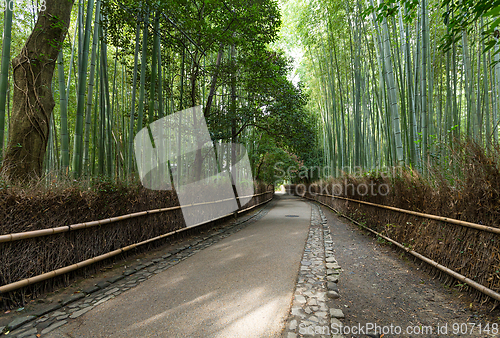 Image of Bamboo forest of Arashiyama 