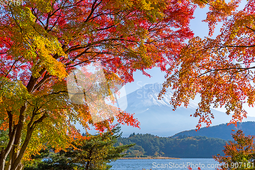 Image of Mount fuji in autumn at Kawaguchiko