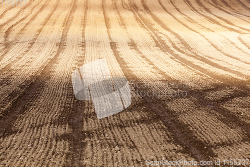 Image of plowed soil