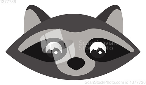 Image of Raccoon wearing hat, vector or color illustration.