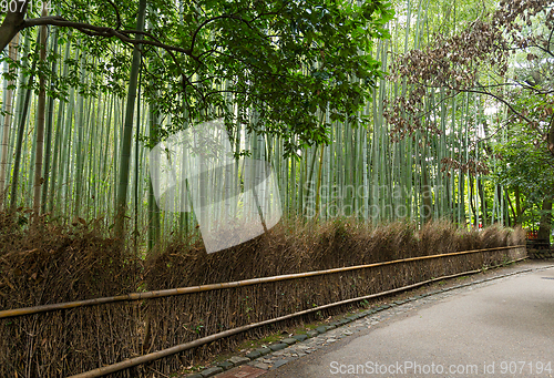 Image of Bamboo forest in Kyoto