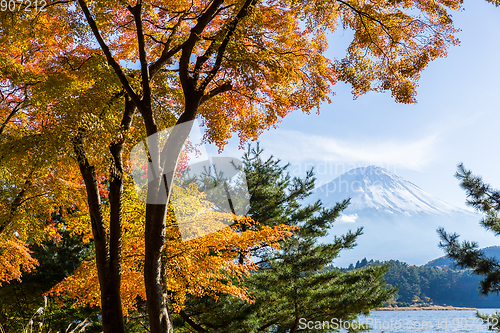 Image of Mt.Fuji in autumn at Lake kawaguchiko in japan