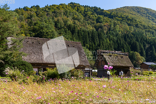 Image of Traditional Japanese old wooden house in Shirakawa