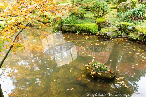 Image of Autumn landscape in Japanese temple
