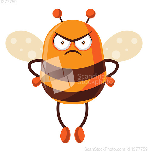 Image of Bee looking mad, illustration, vector on white background.