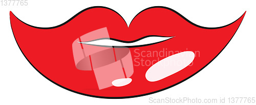 Image of Woman lips, vector or color illustration.