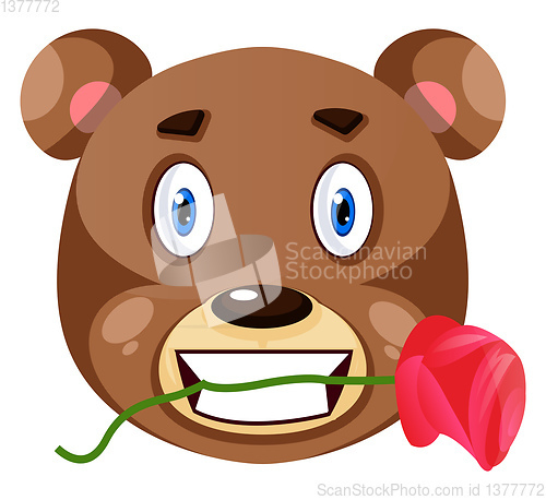 Image of Bear is holding rose in his mouth, illustration, vector on white