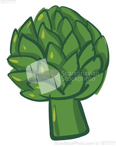 Image of Image of artichoke, vector or color illustration.