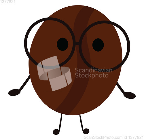 Image of Image of coffee bean, vector or color illustration.