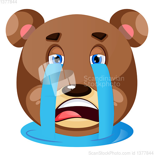 Image of Grizzly bear crying his eyeballs out, illustration, vector on wh