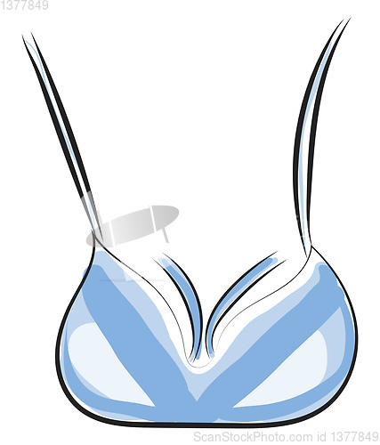 Image of Image of brassiere, vector or color illustration.