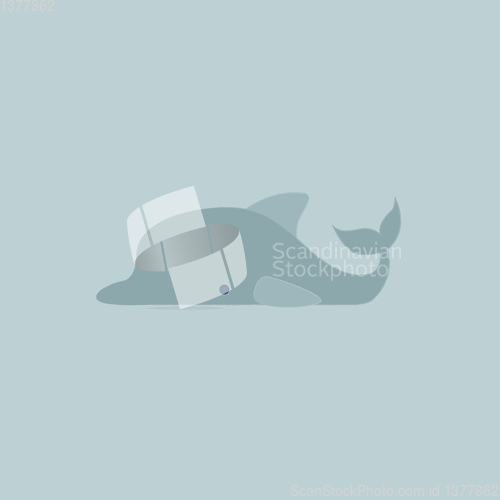 Image of Image of dolphin, vector or color illustration.