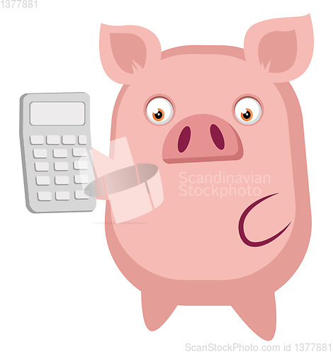 Image of Piggy is holding a calculator, illustration, vector on white bac