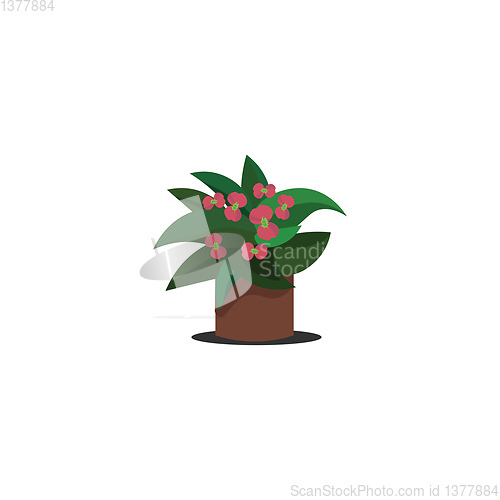 Image of Pink spurge flower, vector or color illustration.