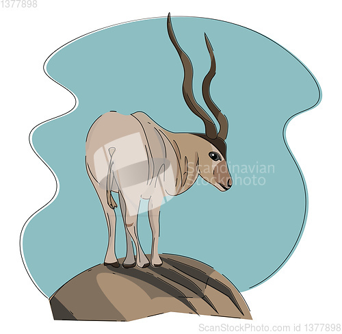 Image of White antelope, vector or color illustration.