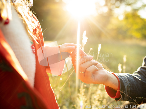 Image of Close up hands of happy father and little cute daughter in the forest path in autumn sunny day