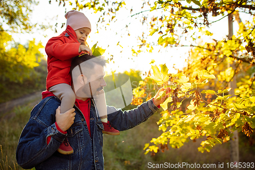 Image of Happy father and little cute daughter walking down the forest path in autumn sunny day