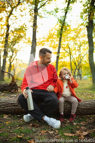 Image of Happy father and little cute daughter walking down the forest path in autumn sunny day