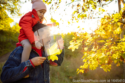 Image of Happy father and little cute daughter walking down the forest path in autumn sunny day