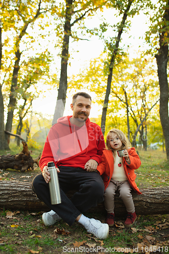 Image of Happy father and little cute daughter walking down the forest path in autumn sunny day