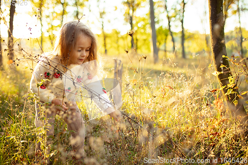 Image of Little cute caucasian girl walking down the forest path in autumn sunny day, discovering nature