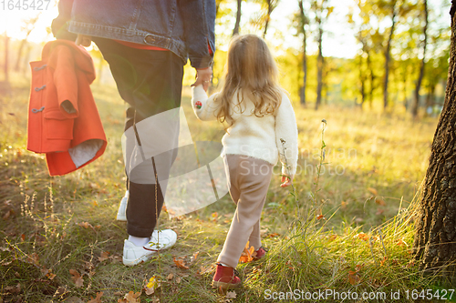 Image of Happy father and little cute daughter walking down the forest path in autumn sunny day