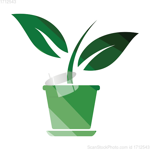 Image of Plant in flower pot icon