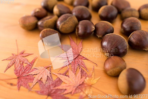 Image of Heap of Chestnuts and maple leaves